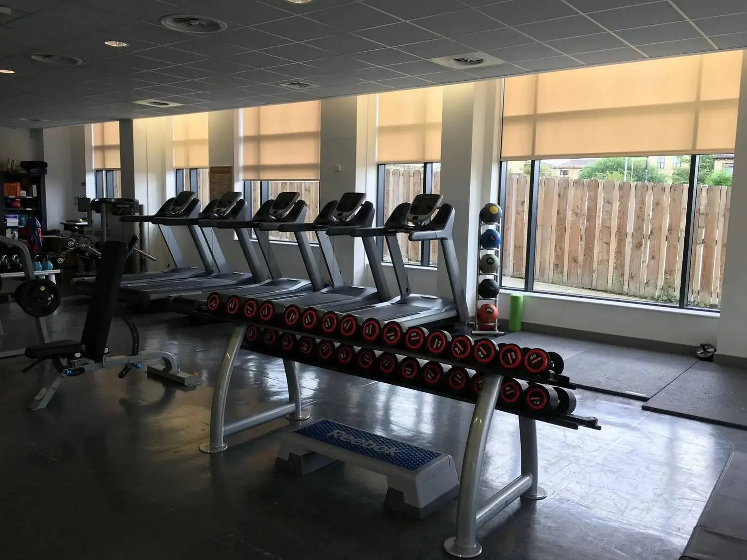 -lit gym with treadmills, dumbbells, and medicine balls. Large windows offer natural light, creating an inviting space for fitness and study breaks.