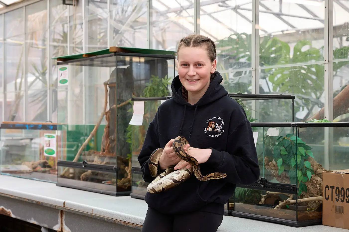 student in a black hoodie holding a snake in a glass terrarium room.