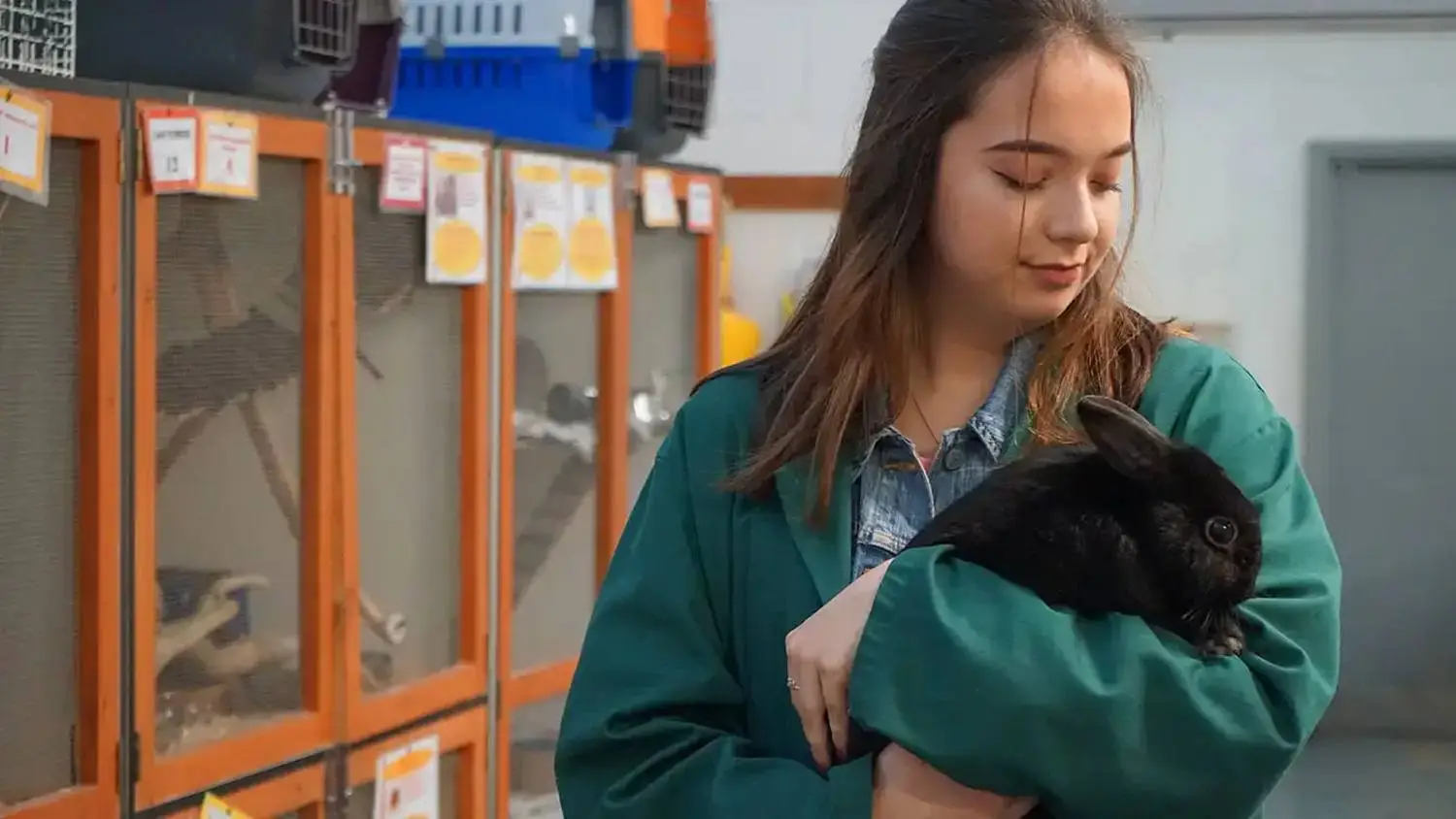 A student in a green hoodie gently holds a black rabbit in a laboratory setting with cages and informational posters.