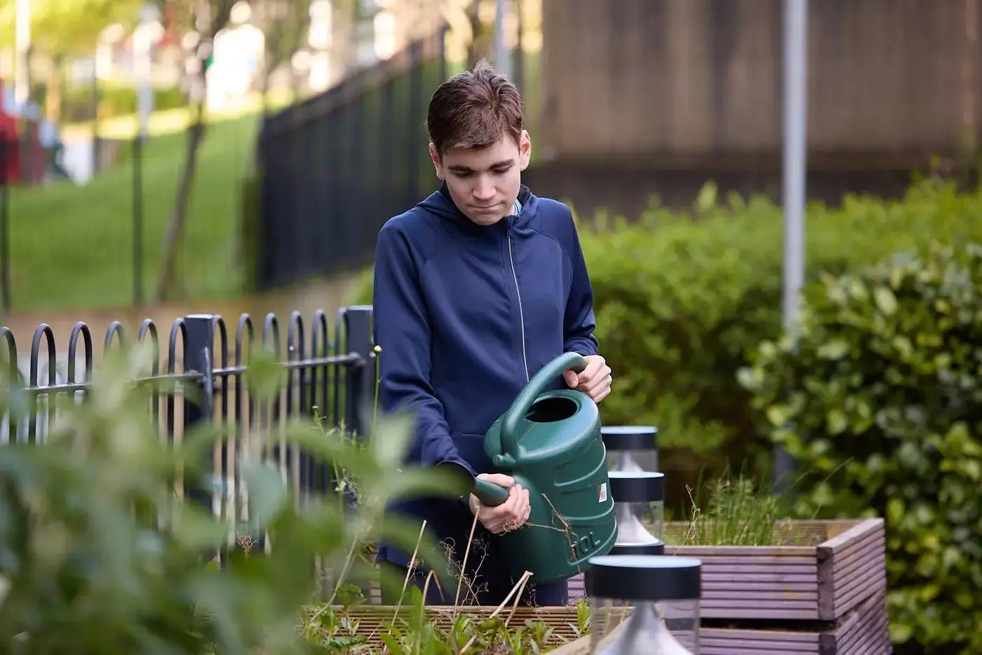 A young person in a blue hoodie watering plants in a wooden raised bed in a garden.