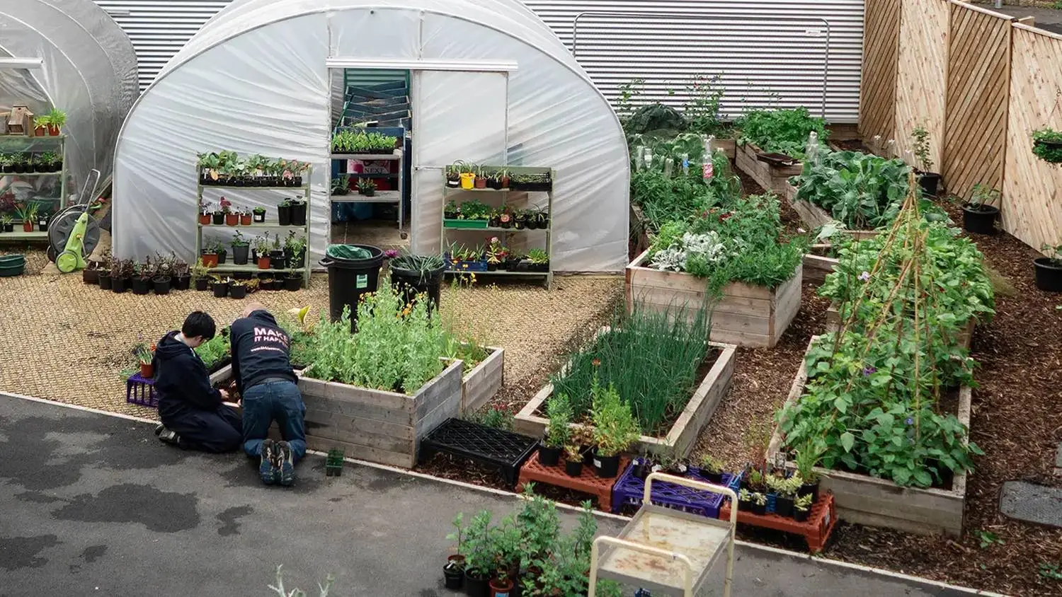 Two students tending to raised vegetable beds outside a polytunnel, surrounded by potted plants and gardening tools.