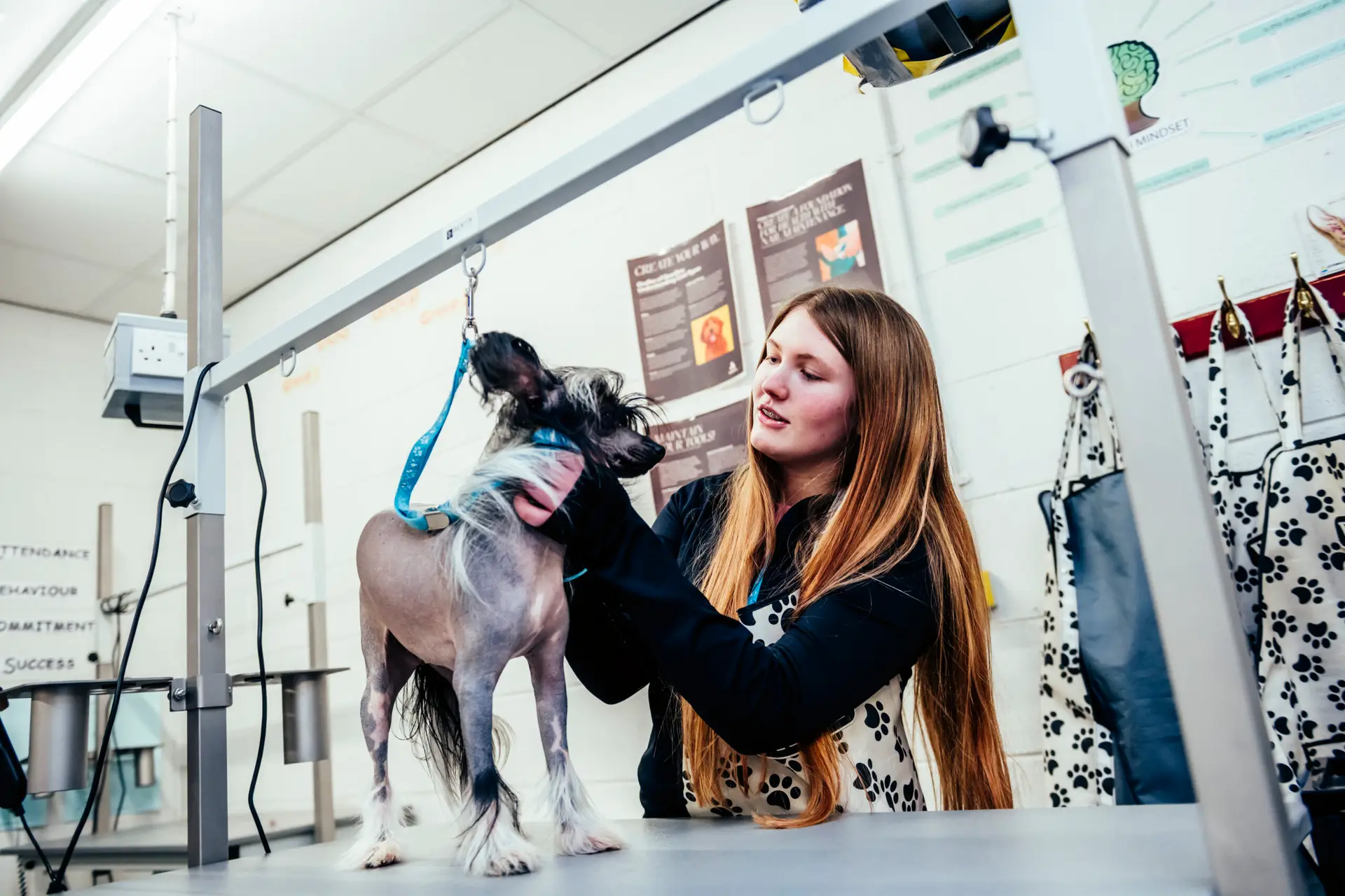 Student with dog in classroom