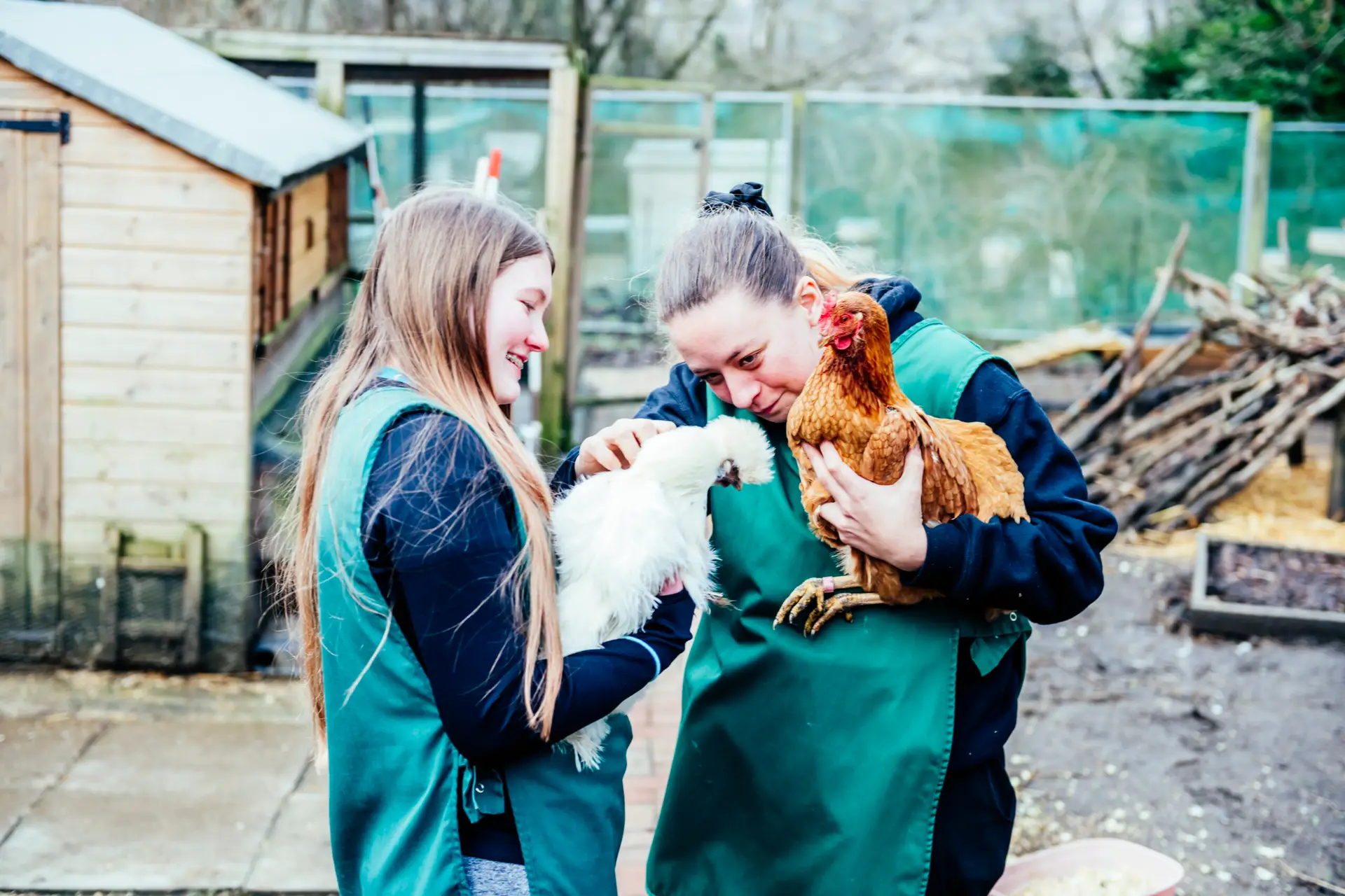 Students outside with animals