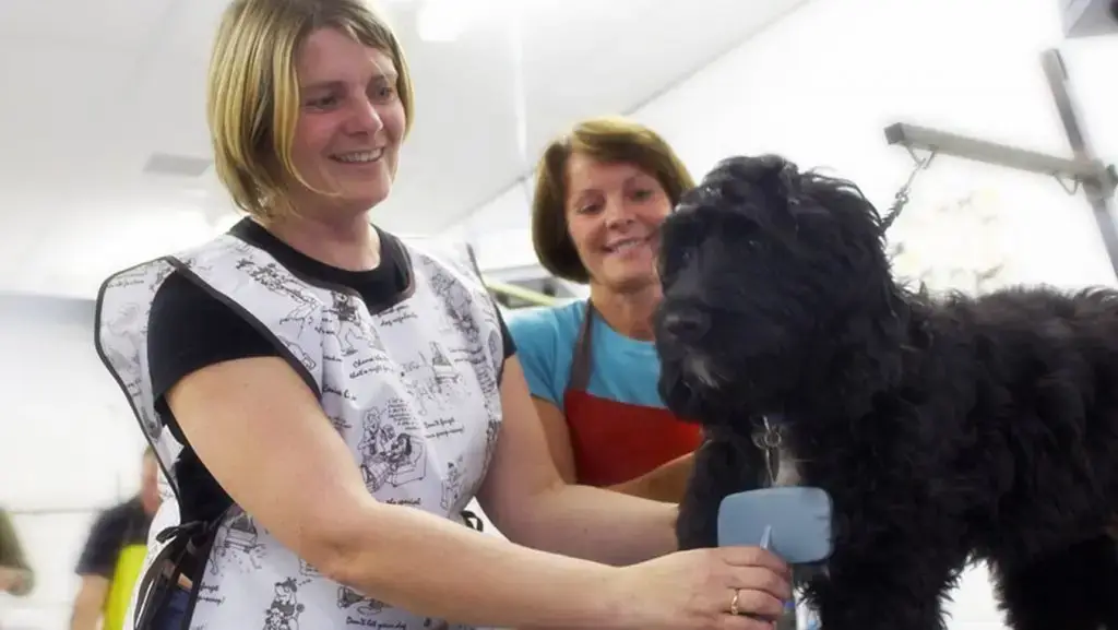 dog groomers at kirklees college