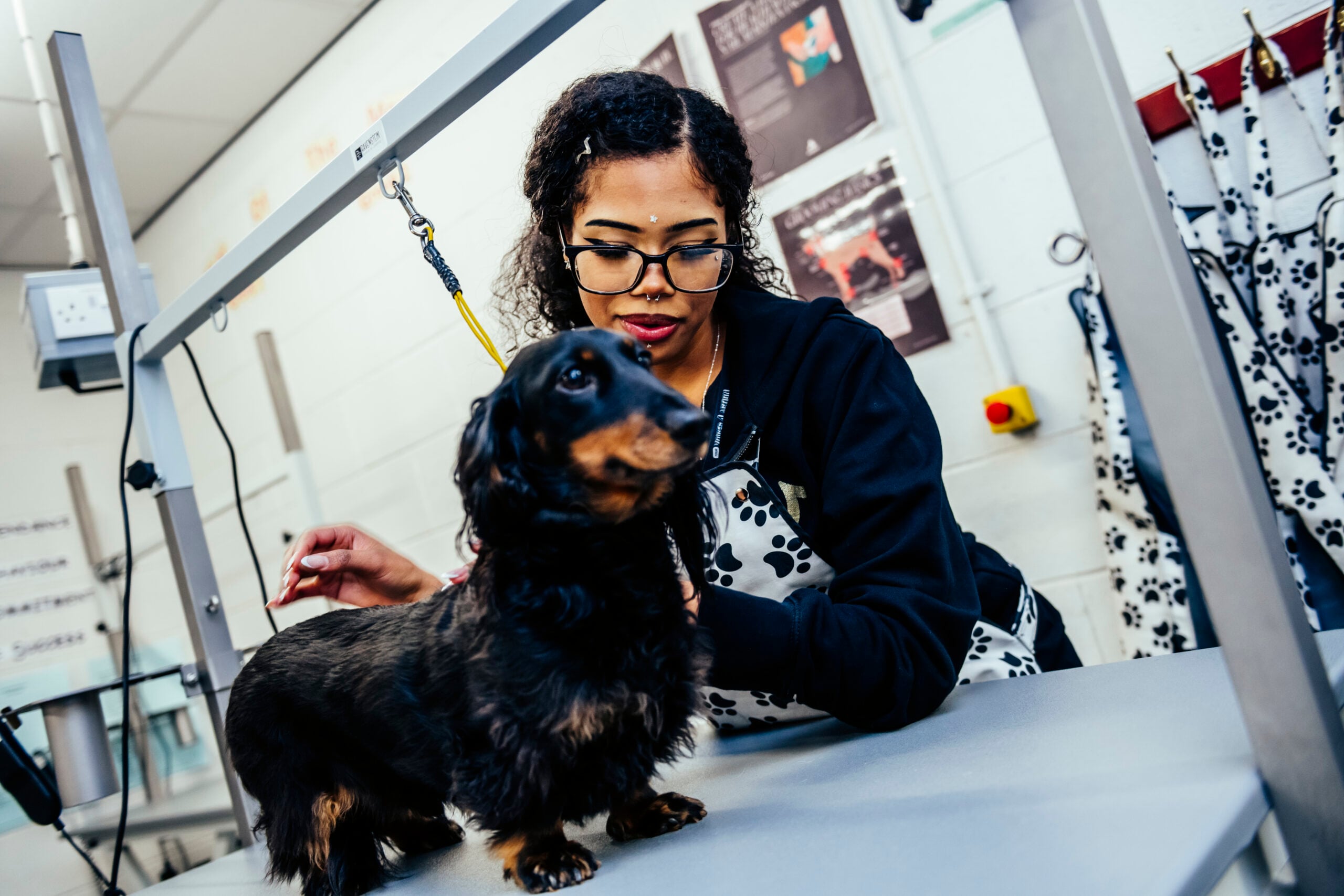 Student helping to groom dog