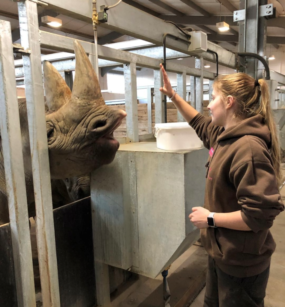 rebecca dawson with animals