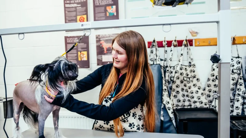 Student with dog in lesson